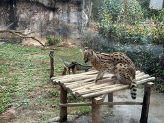 -杭州野生动物世界