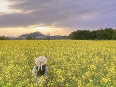 -光明小镇欢乐田园