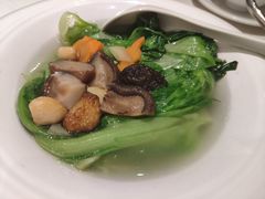 上汤生菜-龙记·香港茶餐厅(海上世界店)