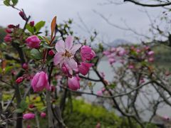 -宁波九龙湖开元度假村