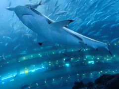 -成都浩海立方海洋公园