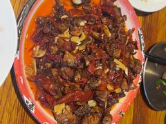 -柴窝堡22号辣子鸡·传承新疆菜