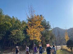 -黄陂区野村谷景区