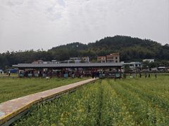 -红山村