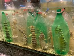 -Isla Sugbu Seafood City