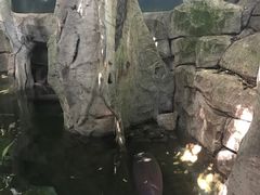 -青青世界