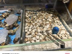 -加餐海鲜自助(宝龙一城店)
