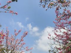 -风云岭森林公园