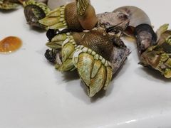 -天天渔港海鲜酒家(石浦玉泉路店)