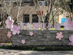 -高东镇樱花园