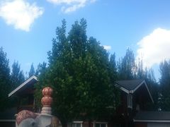 -永定河休闲森林公园