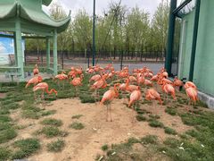 -秦皇岛野生动物园
