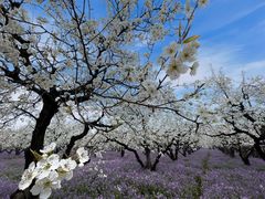 -江苏三台山国家森林公园