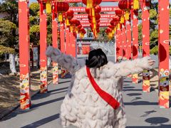 -武汉紫薇都市田园