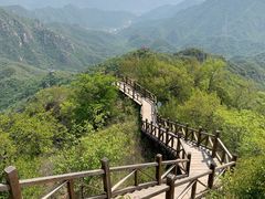 -大岭沟猕猴桃谷风景区