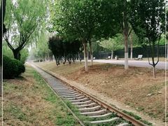 -永定河休闲森林公园