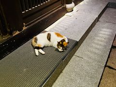 -法云安缦酒店