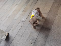 -中海环宇荟