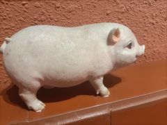 -猪角·闽南猪脚饭(厦门中医院店)