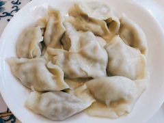 茴香猪肉水饺-东方饺子王(大屯路店)