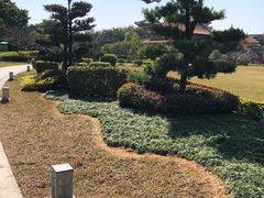 -广东圆玄道观
