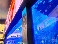 -迪拜水族馆及水下动物园