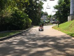-圣淘沙天际线斜坡滑车