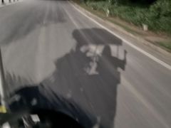 -美的鹭湖森林度假区