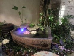 picture-克丽缇娜