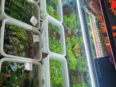 -双季花艺园艺市场(浦东店)