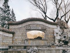 -团结湖公园