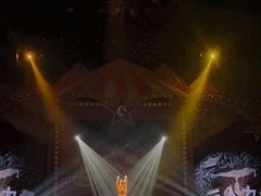 -珠海横琴长隆《卡卡虎奇遇记》