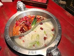 -袁老四重庆老火锅(桐梓坡店)