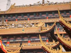 -东莞市大岭山森林公园