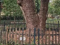 -徐家汇源景区-衡山公园