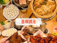 -百利鸽王(紫薇路店)