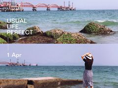 -玫瑰海岸文化旅游度假区