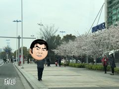 -苏州金鸡湖文博诺富特酒店