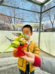 -萌宠亲子动物乐园(槐房万达店)