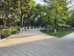 -莲湖公园