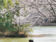 -艾溪湖湿地公园