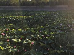 -北京天湖会议中心