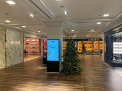 -DFS旗下T广场(新加坡店)