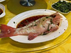东星斑-老字号蛇口德记烧腊饭店·海鲜加工