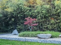 -西安凯悦酒店·湖畔中餐厅