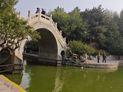 -团结湖公园