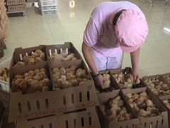 -兴芮温泉度假区