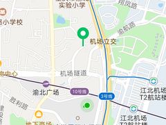 -老街无刺鲫鱼