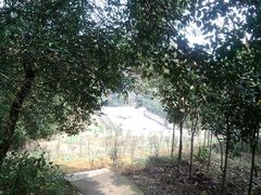 -湘鄂赣边区鄂东南革命烈士陵园