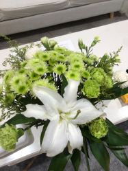 -HEYAN长风荷妍专业脱毛美肤

